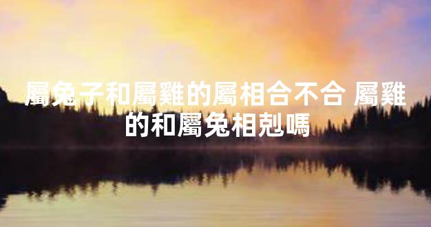 屬兔子和屬雞的屬相合不合 屬雞的和屬兔相剋嗎